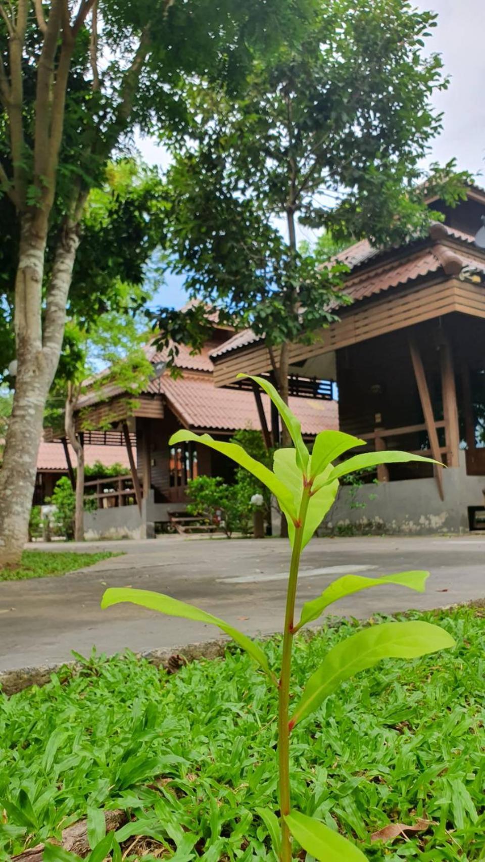 Ruenpurksa Resort Prachuap Khiri Khan Exterior foto